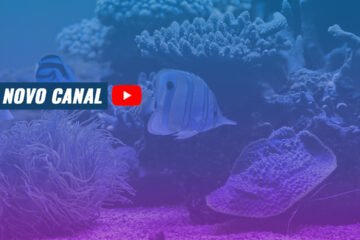 Canal no Youtbe